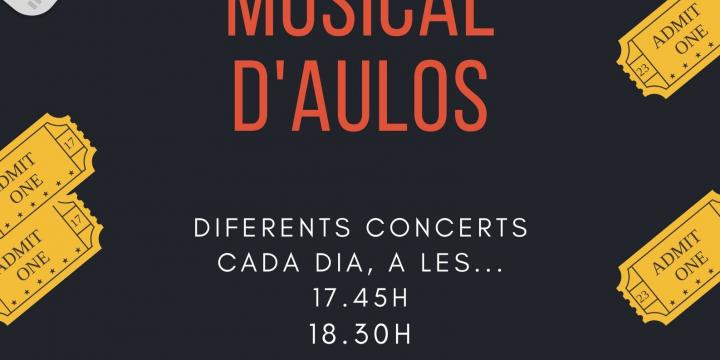 Us anunciem que s'ha programat la setmana musical d'AULOS amb mini-concerts d'alumnes dirigits a familiars i alumnat mateix de l'escola i que és obert a tothom